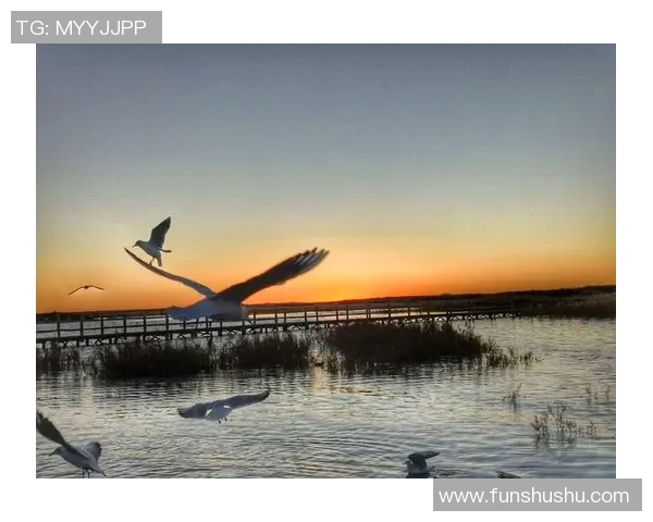 自由自在DJ足球明星的激情碰撞与梦想追逐之旅 自由自在DJ足球明星的激情碰撞与梦想追逐之旅